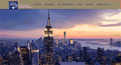 Desktop Screenshot of maxspann.com
